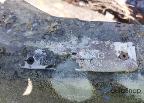 1999 Ford F-150 Lariat/Xl/Xlt from USA, damaged, VIN 1FTRX18L5XNB80564